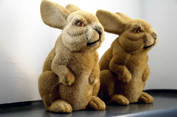 HASE\_red