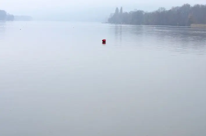 Boje