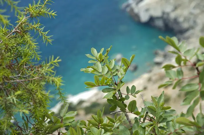 Levanto Monterosso 2013