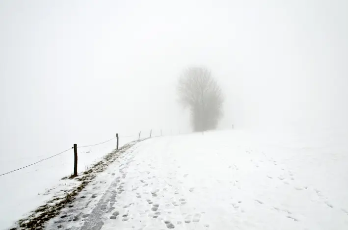 fog three\_red