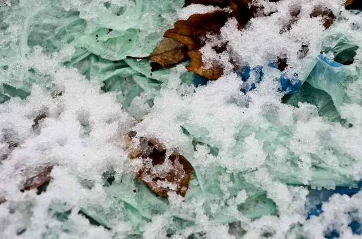 Tüte\_Schnee\_Wald\_red