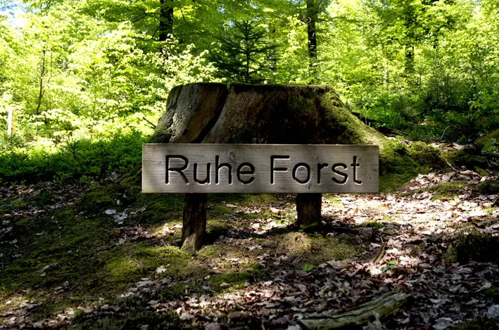 Ruhe Forst 1\_red