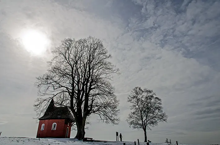 Rote Kapelle\_red