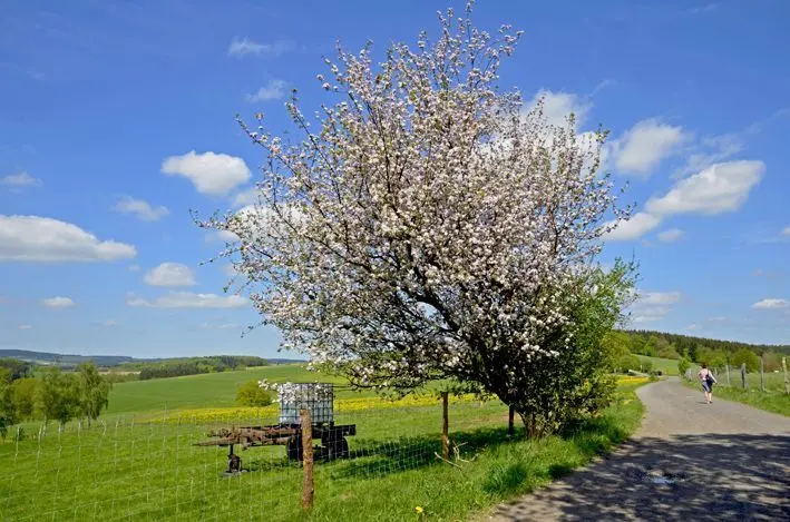 Frühling\_Wolken\_2015\_3