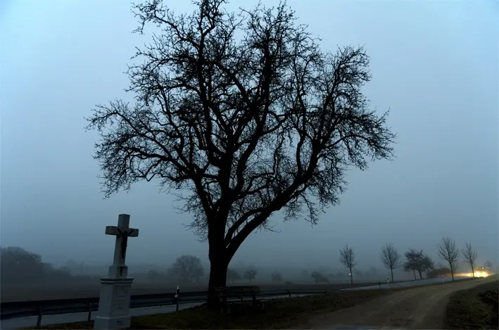 Bäume\_Kreuz\_Schweiz\_red