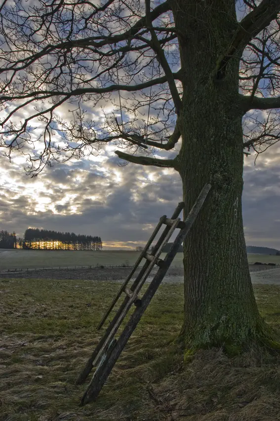 Morning has broken 3