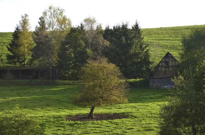Haus Hundscheidt