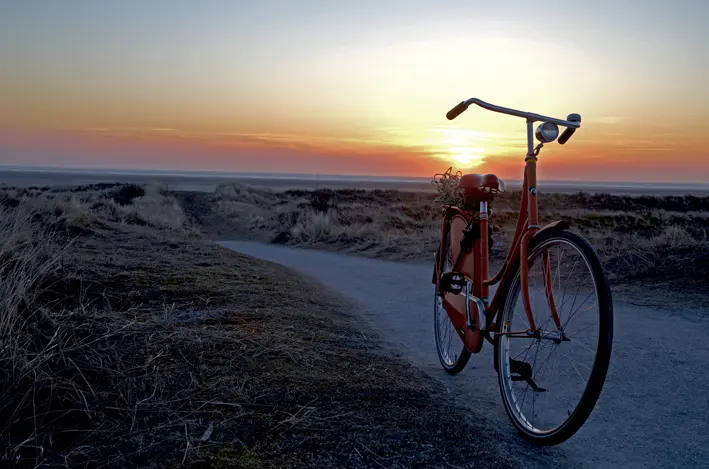 schier\_fahrrad\_red