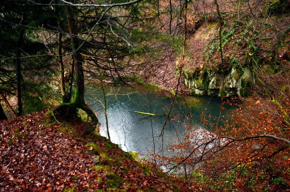 Steinbruch\_Wald\_red