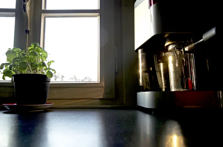 Gaggia\_red