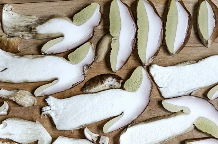 August 2015 – ein weiteres Steinpilz-Jahr, kulinarische Highlights vor der Tür – so lecker: Am liebsten als Risotto August 2015 - ein weiteres Steinpilz-Jahr, kulinarische Highlights vor der Tür - so lecker: Am liebsten als Risotto