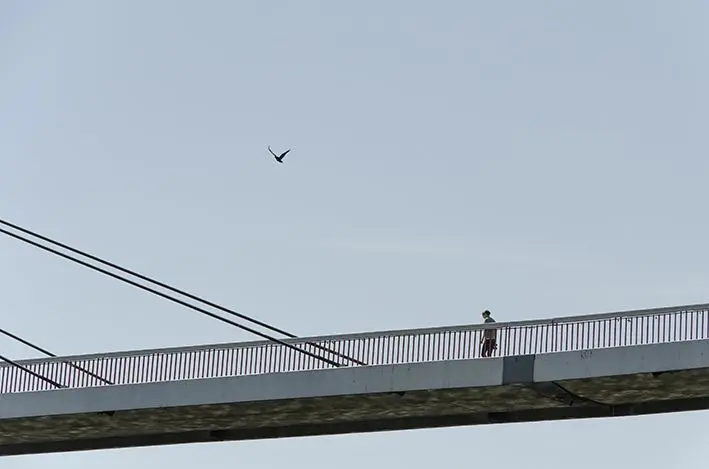 Neckarbrücke 2