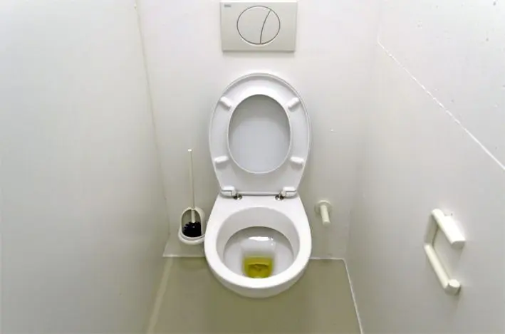 The Loo