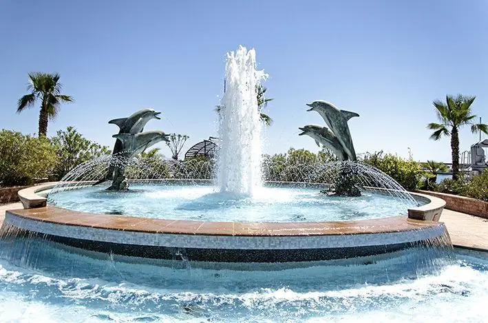 Dolphins
