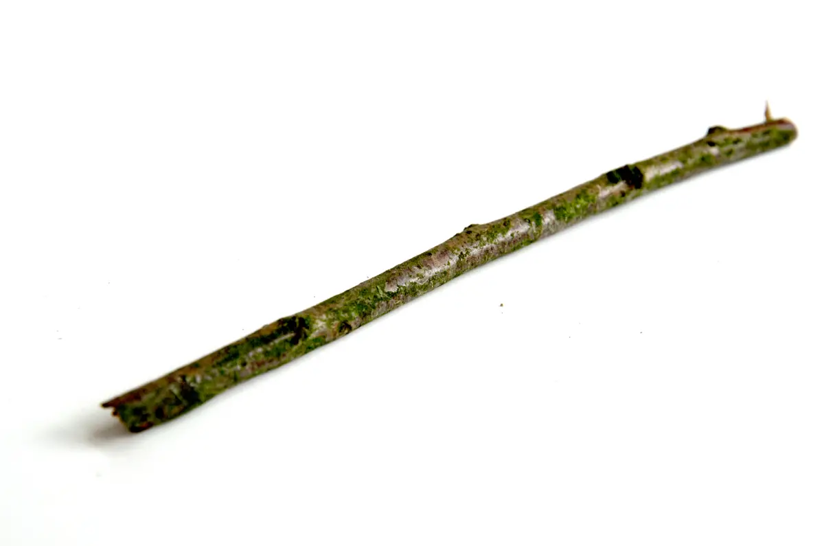 Stöckchen