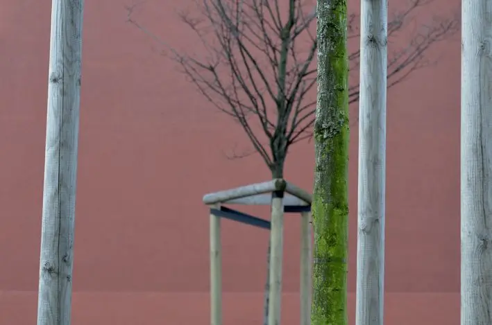 red\_Stämme