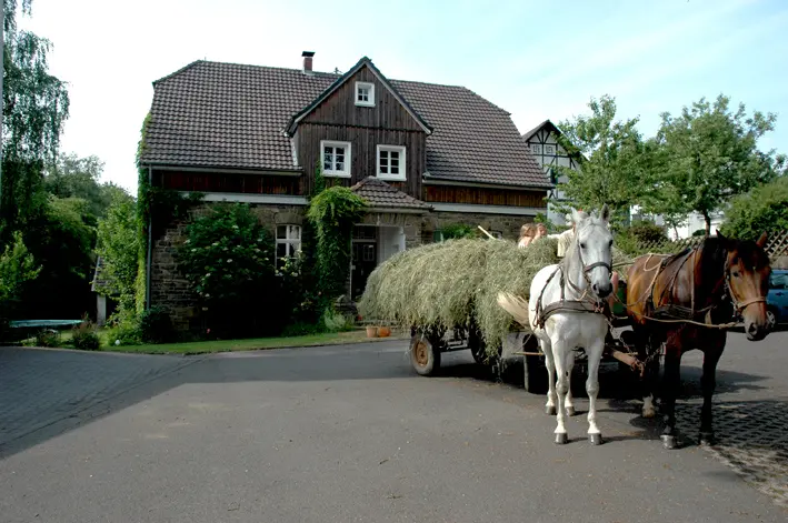 Kutsche
