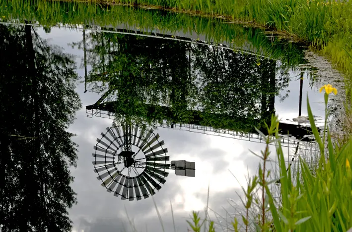 mirror. 2013 mirror. 2013