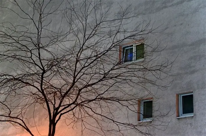 Essen\_Haus mit Baum