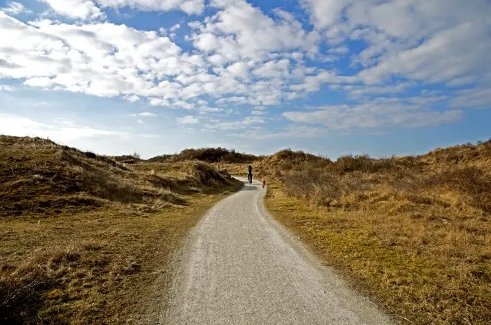 schier\_weg\_red