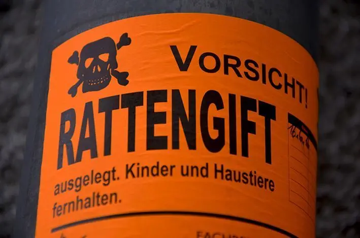 Rattengift